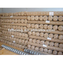 Welded wire mesh (10 years' factory)